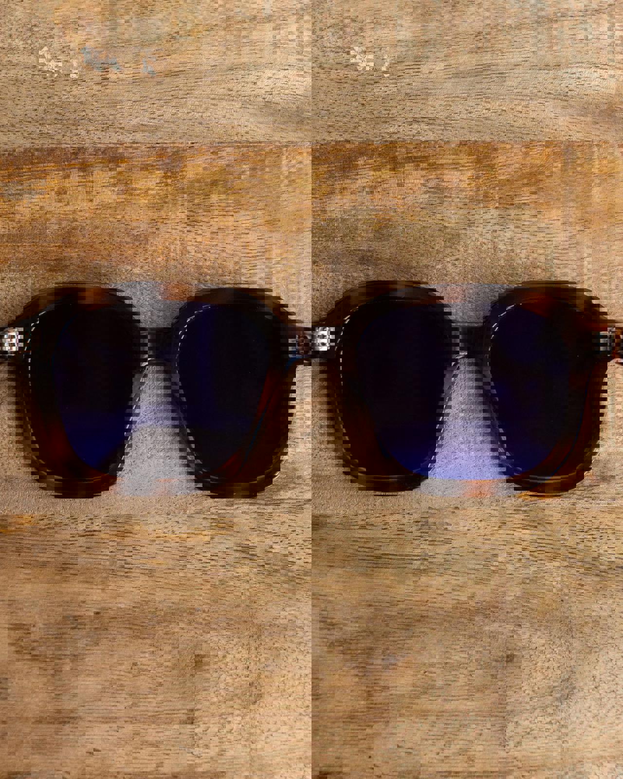 Illesteva Bogota Sunglasses Tortoise