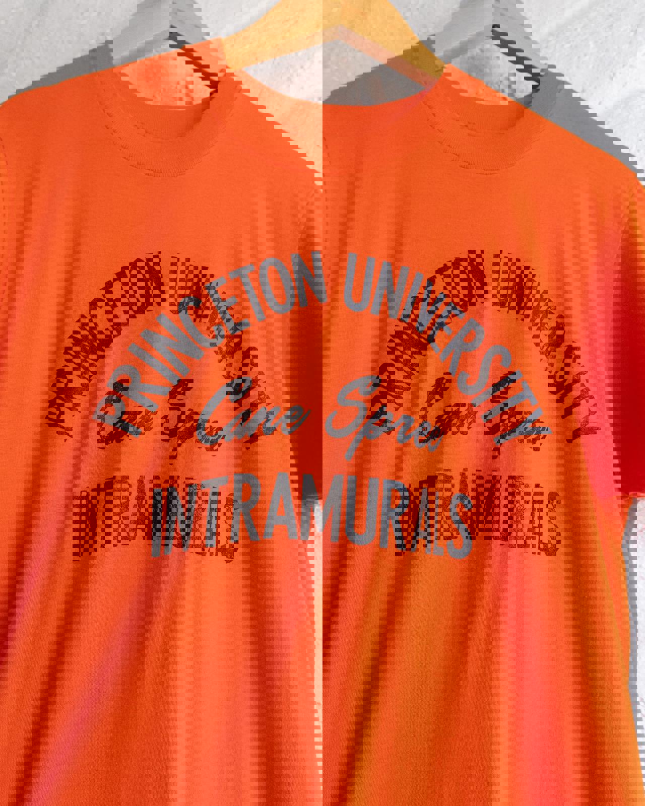 Vintage 80s Princeton University T Shirt Cane Spree Intramurals Single Stitch Men's Size XL