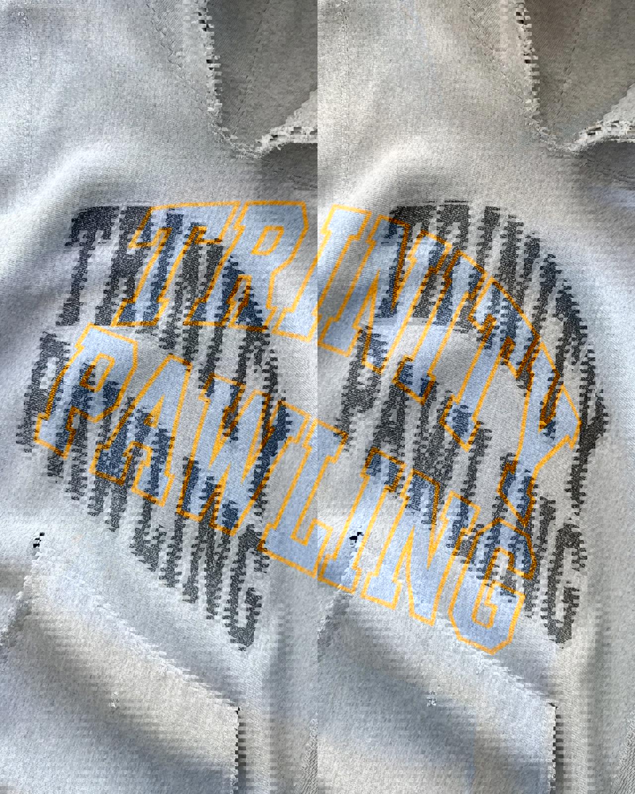Thrashed Vintage 1970s Champion Reverse Weave Hoodie Trinity Pawling Men's M College Prep Boarding School Distressed