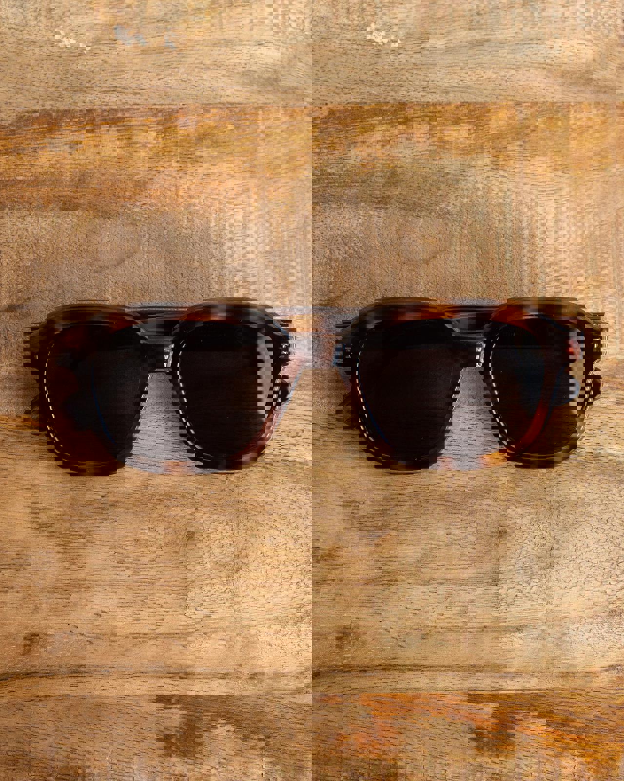 Illesteva Bogota Sunglasses Tortoise